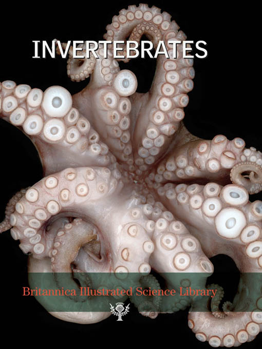 Click image to view full cover